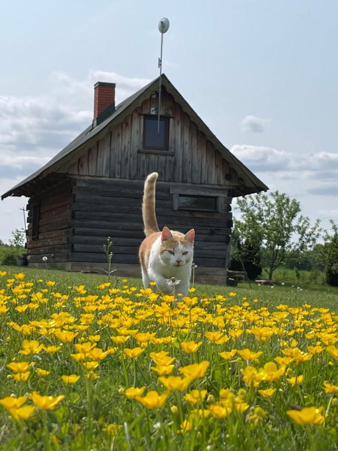 Willa Gintaro Pirtele Łoździeje Zewnętrze zdjęcie